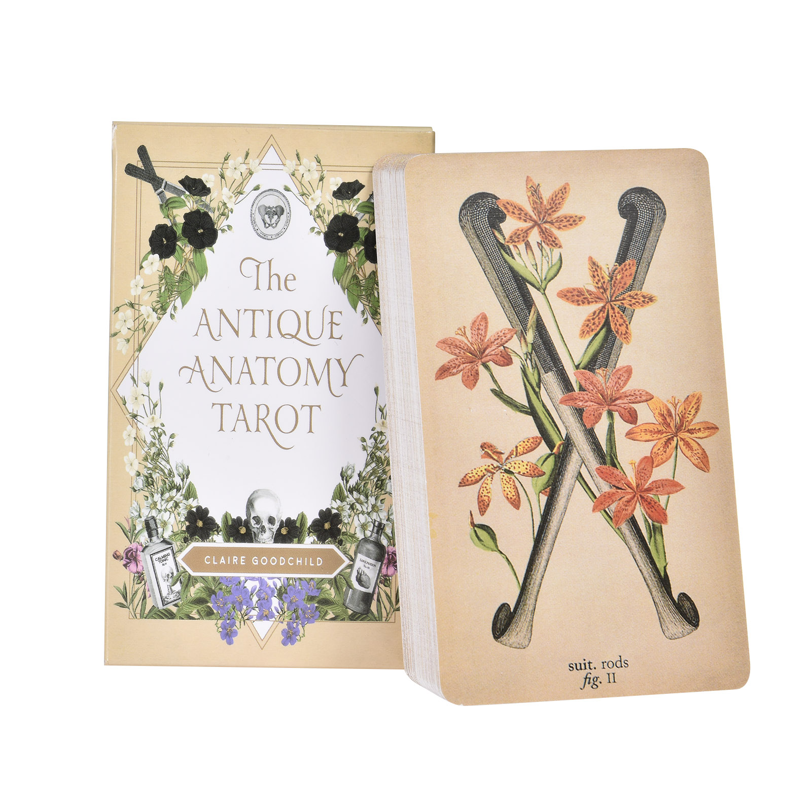 Board Game Oracle - De Antieke Anatomie Tarotkaarten Engelse Versie