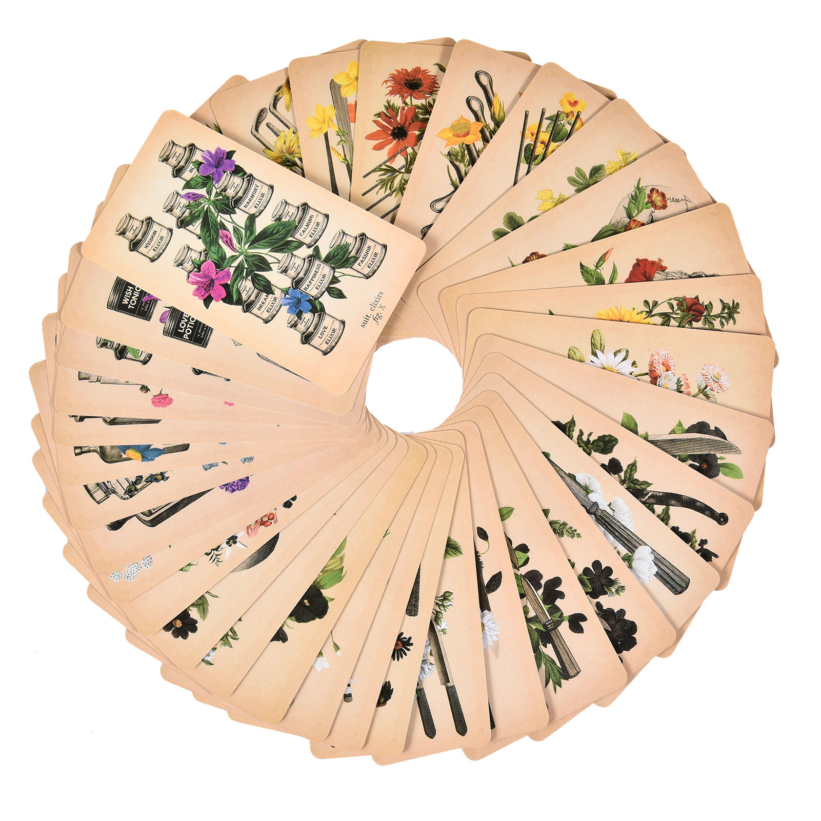 De Antieke Anatomie Tarotkaart - Board Game Oracle recensie en prijs